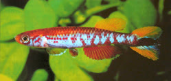 GWW_86-30