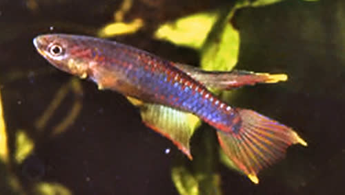 TC89_15-2